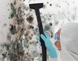 Why You Should Choose Our Mold Remediation Services in Hico, TX